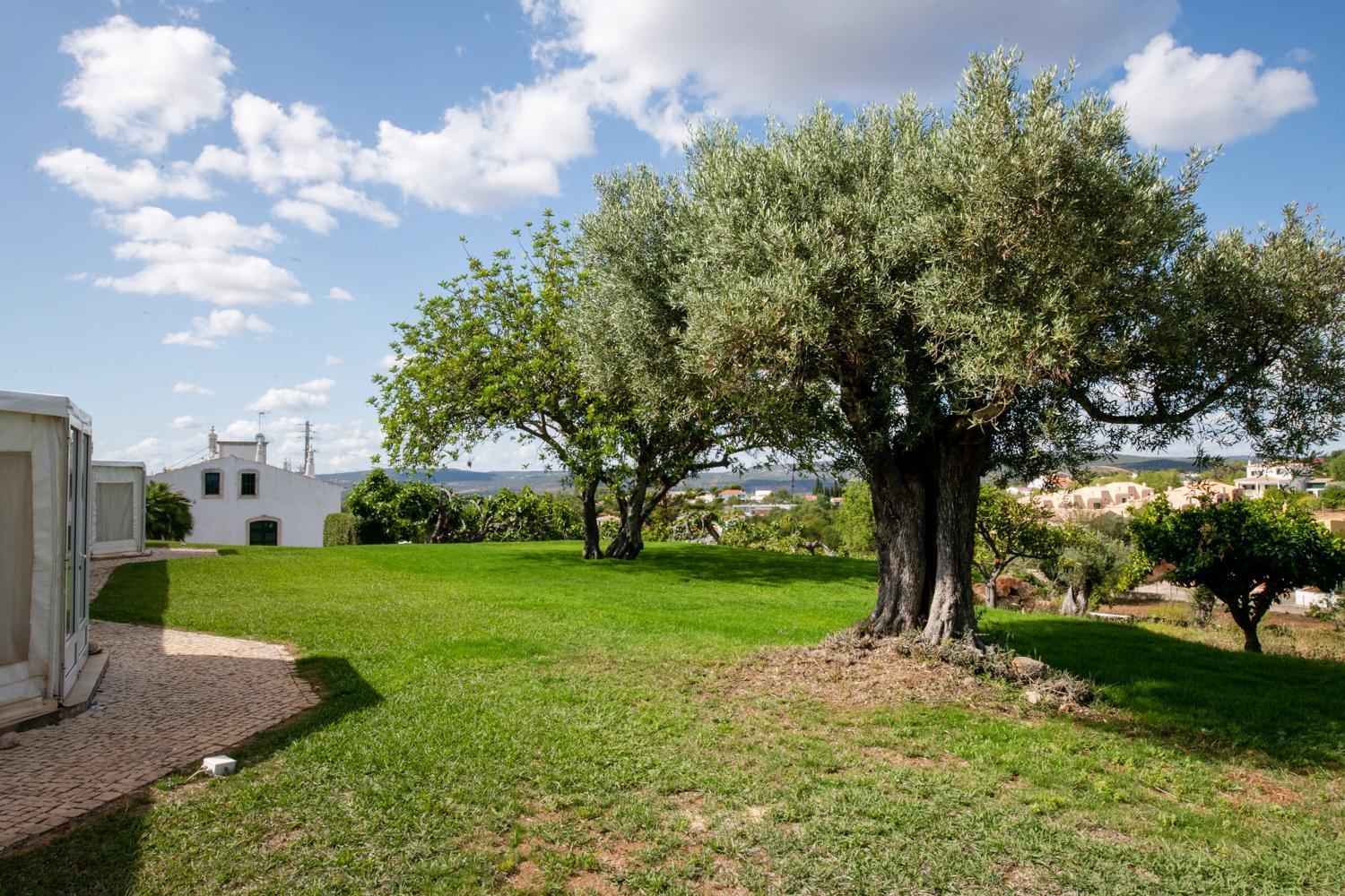 Cerca Velha - Country House Albufeira Kültér fotó